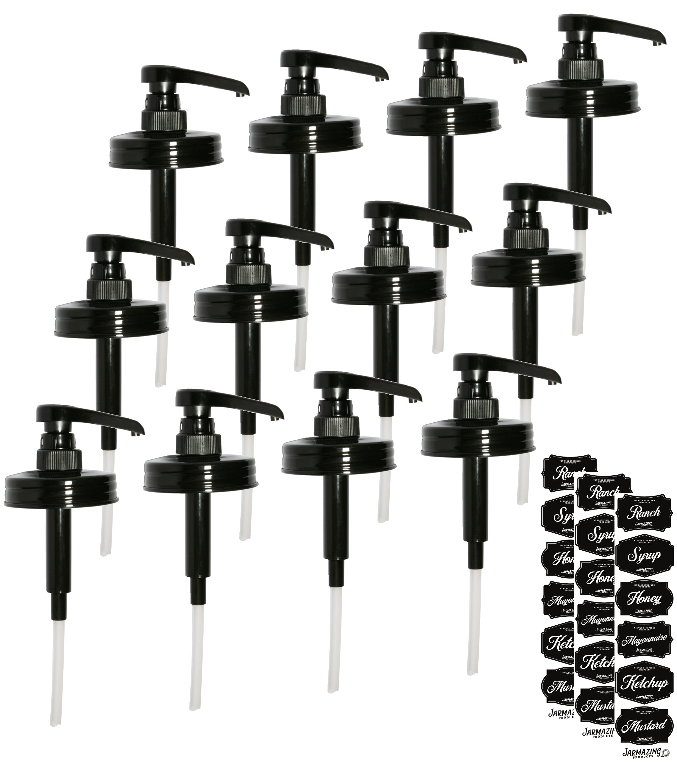 #Size_Twelve-pack